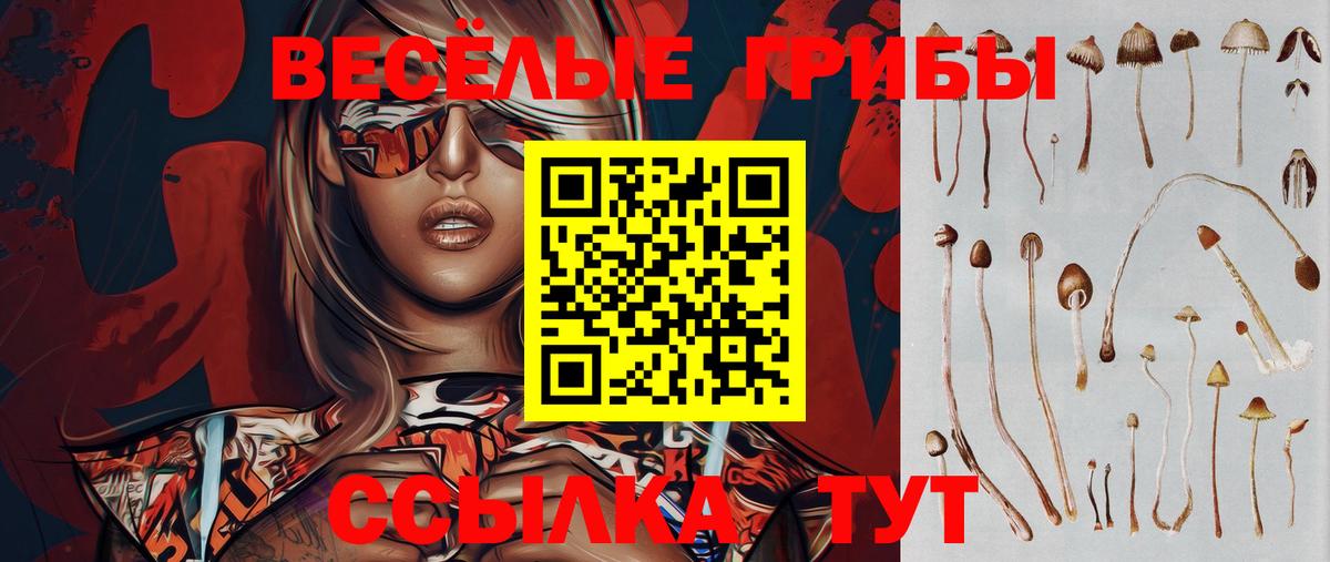 Шарыпово  Псилоцибиновые грибы GOLDEN TEACHER  Вход с VPN 